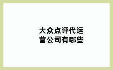 大众点评代运营公司有哪些