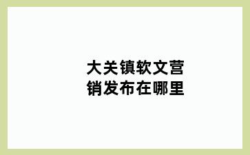 大关镇软文营销发布在哪里