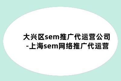 大兴区sem推广代运营公司-上海sem网络推广代运营