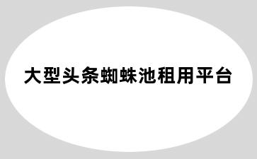 大型头条蜘蛛池租用平台