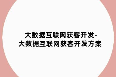 大数据互联网获客开发-大数据互联网获客开发方案