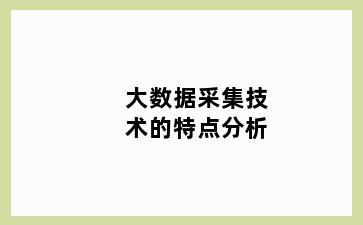 大数据采集技术的特点分析