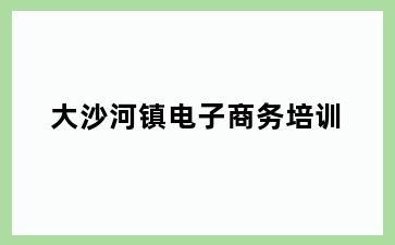 大沙河镇电子商务培训