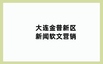 大连金普新区新闻软文营销