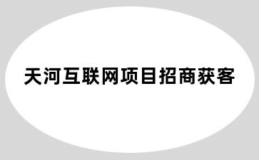 天河互联网项目招商获客