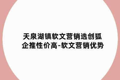 天泉湖镇软文营销选创狐企推性价高-软文营销优势