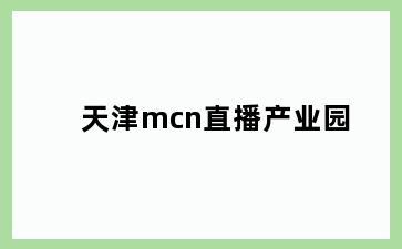 天津mcn直播产业园