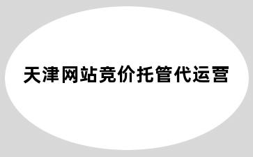 天津网站竞价托管代运营