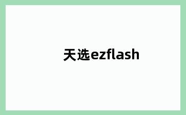 天选ezflash