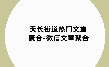 天长街道热门文章聚合-微信文章聚合