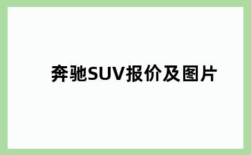 奔驰SUV报价及图片