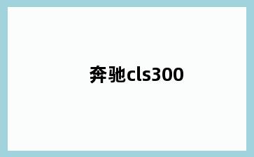 奔驰cls300