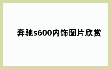 奔驰s600内饰图片欣赏