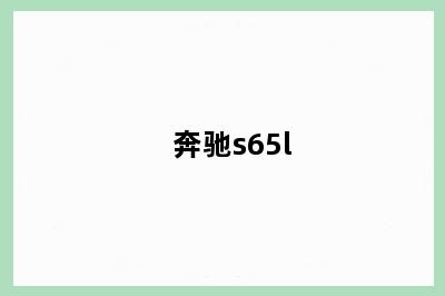 奔驰s65l