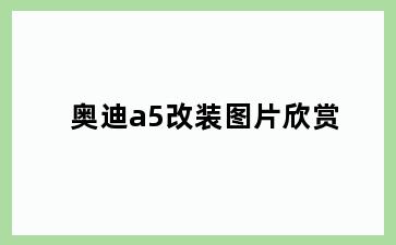 奥迪a5改装图片欣赏