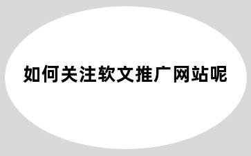 如何关注软文推广网站呢