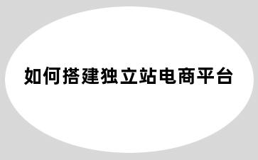 如何搭建独立站电商平台