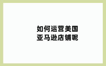 如何运营美国亚马逊店铺呢