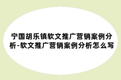 宁国胡乐镇软文推广营销案例分析-软文推广营销案例分析怎么写