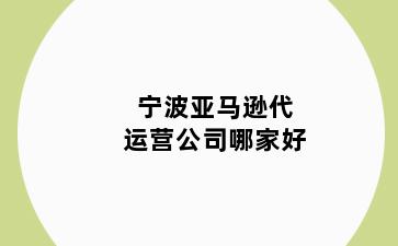 宁波亚马逊代运营公司哪家好