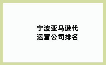 宁波亚马逊代运营公司排名