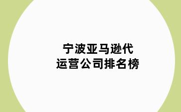 宁波亚马逊代运营公司排名榜