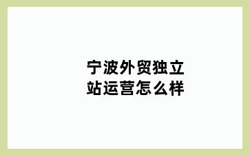 宁波外贸独立站运营怎么样