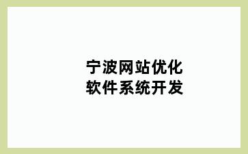 宁波网站优化软件系统开发