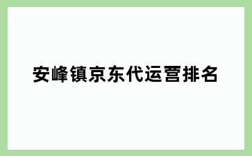 安峰镇京东代运营排名