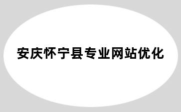 安庆怀宁县专业网站优化