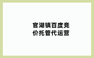 官湖镇百度竞价托管代运营