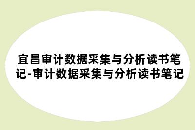 宜昌审计数据采集与分析读书笔记-审计数据采集与分析读书笔记