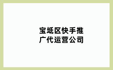 宝坻区快手推广代运营公司