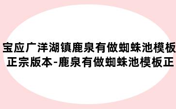 宝应广洋湖镇鹿泉有做蜘蛛池模板正宗版本-鹿泉有做蜘蛛池模板正宗版本