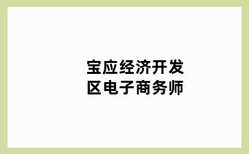 宝应经济开发区电子商务师