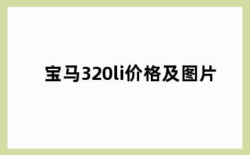 宝马320li价格及图片