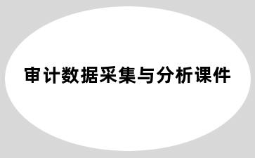 审计数据采集与分析课件