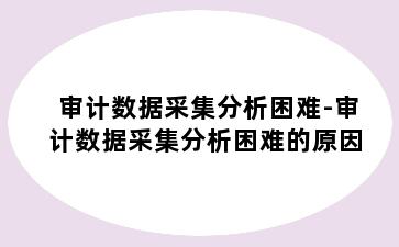 审计数据采集分析困难-审计数据采集分析困难的原因