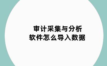 审计采集与分析软件怎么导入数据