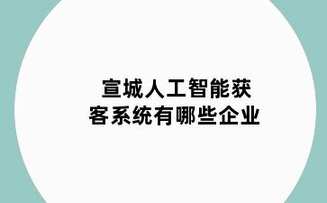 宣城人工智能获客系统有哪些企业