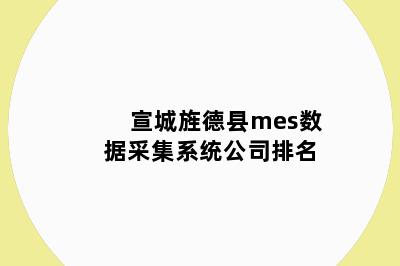 宣城旌德县mes数据采集系统公司排名