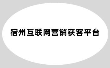 宿州互联网营销获客平台