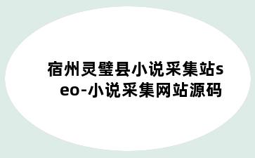 宿州灵璧县小说采集站seo-小说采集网站源码