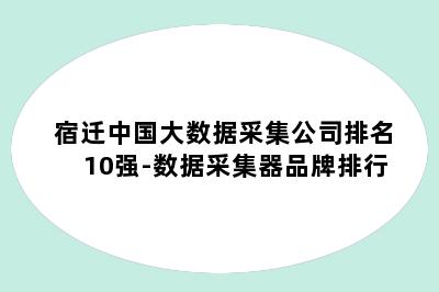 宿迁中国大数据采集公司排名10强-数据采集器品牌排行