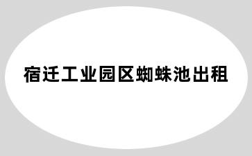 宿迁工业园区蜘蛛池出租