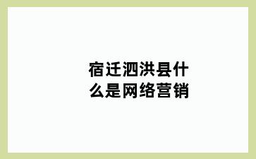 宿迁泗洪县什么是网络营销