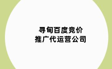 寻甸百度竞价推广代运营公司