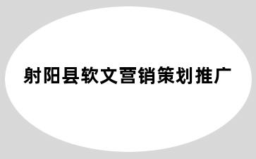 射阳县软文营销策划推广