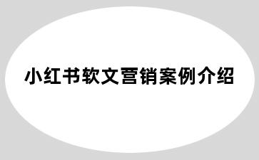 小红书软文营销案例介绍