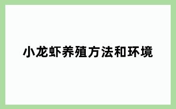 小龙虾养殖方法和环境